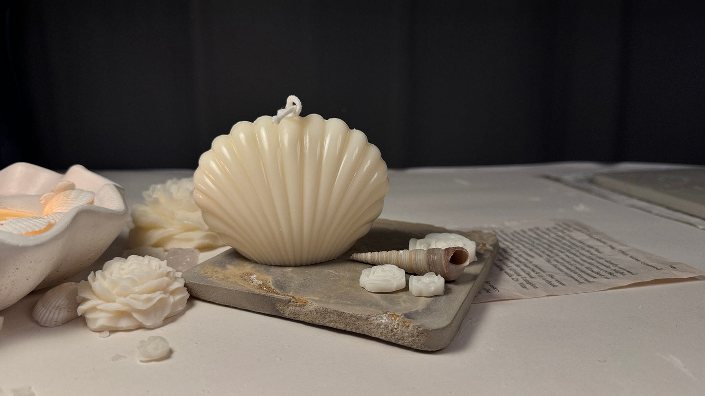 Sea Shell Candle
