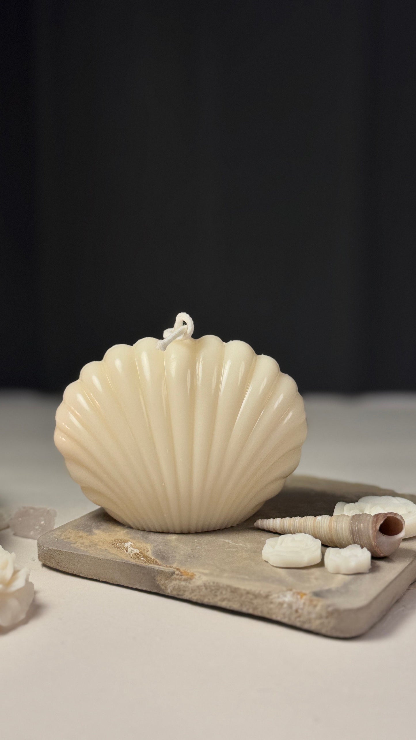 Sea Shell Candle