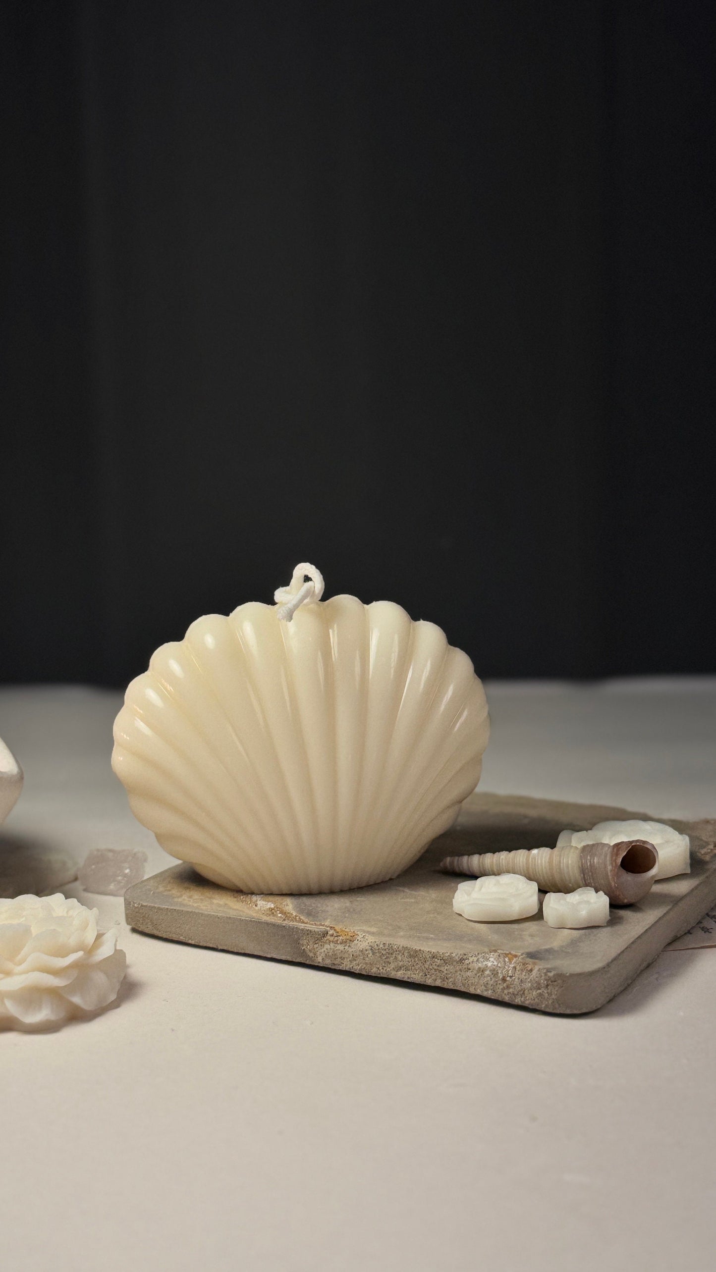 Sea Shell Candle