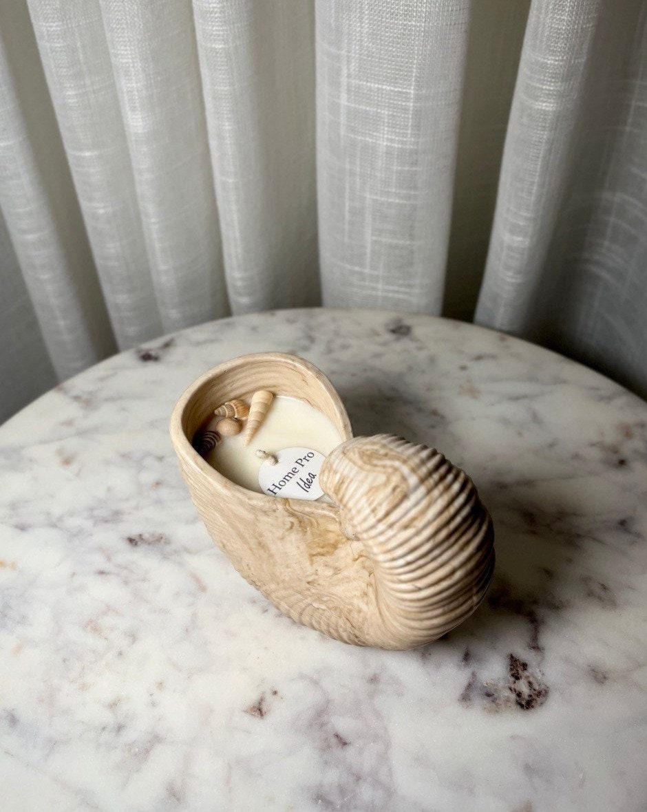 Seashell Serenity
