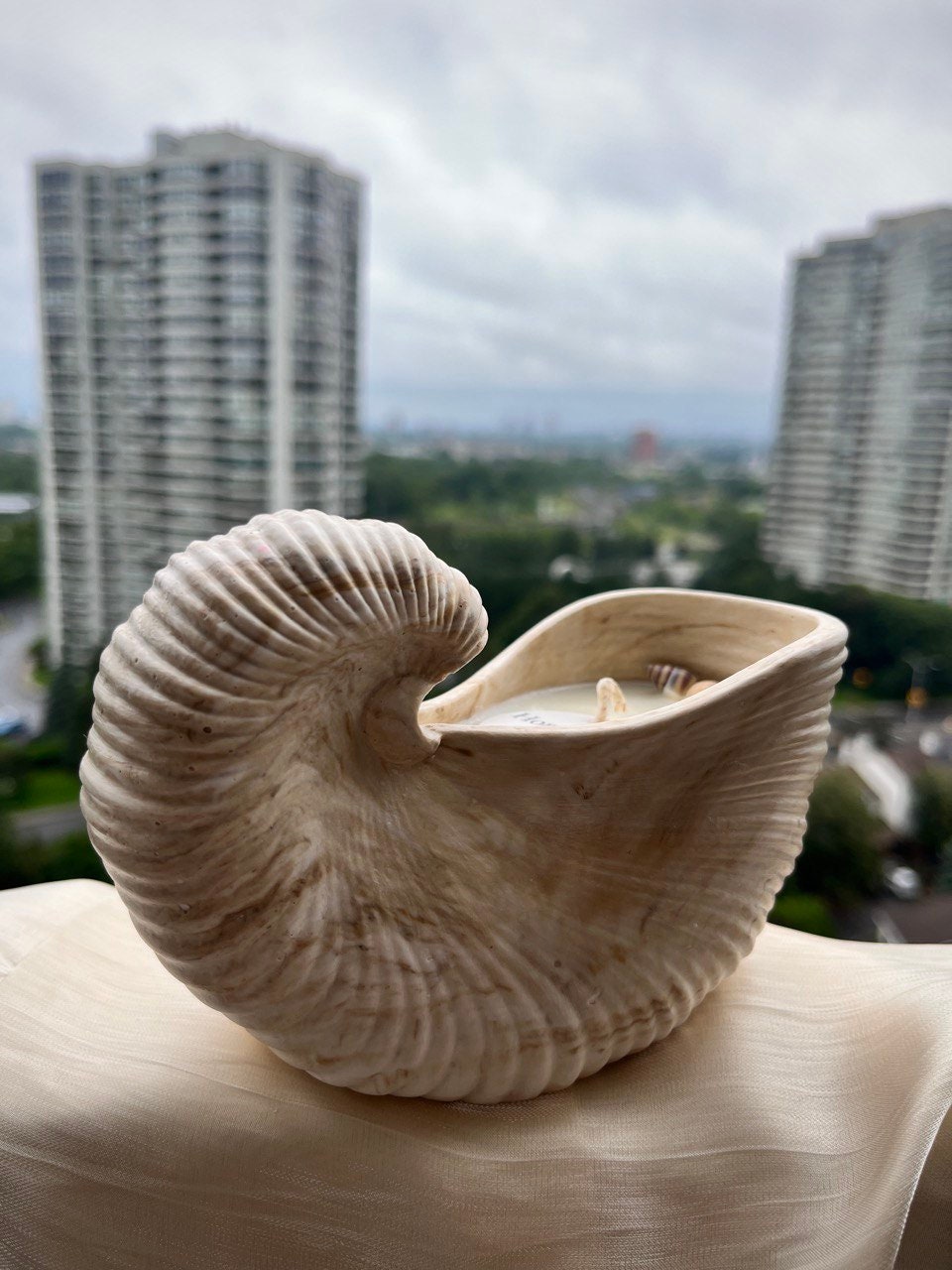 Seashell Serenity