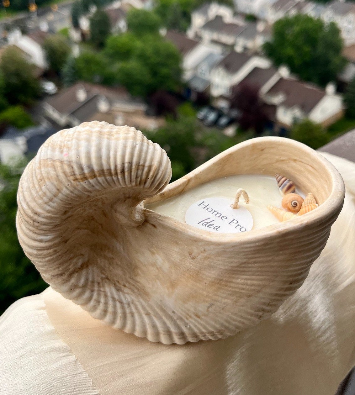 Seashell Serenity