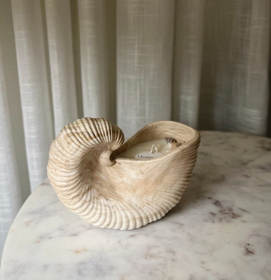 Seashell Serenity
