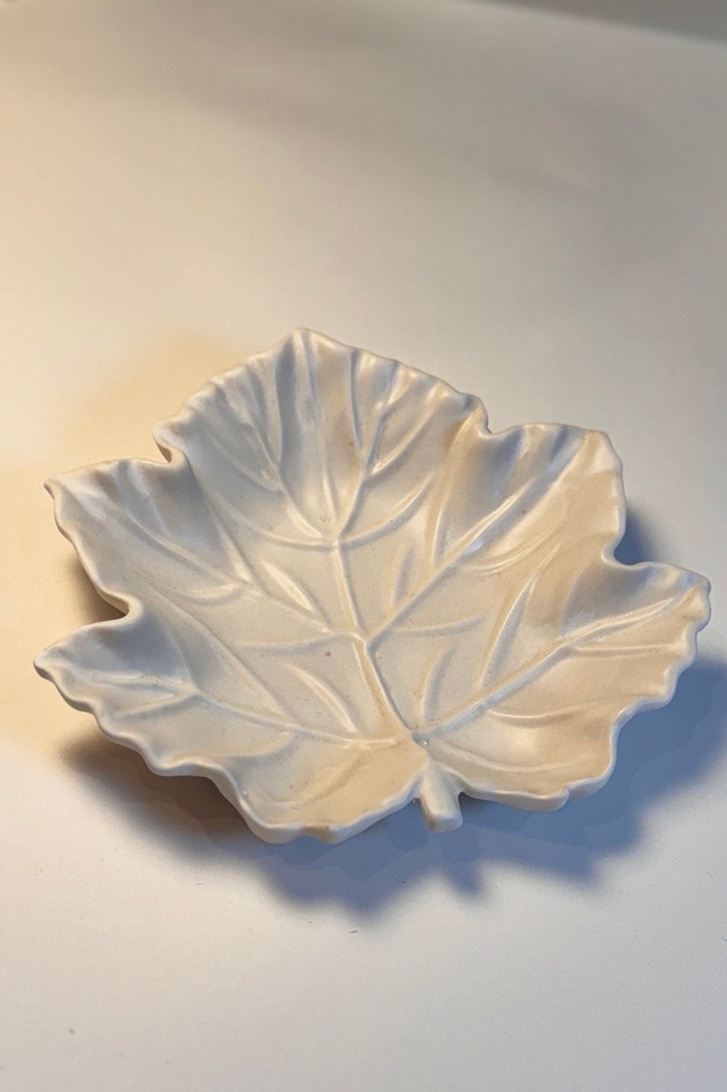 Leaves Tray