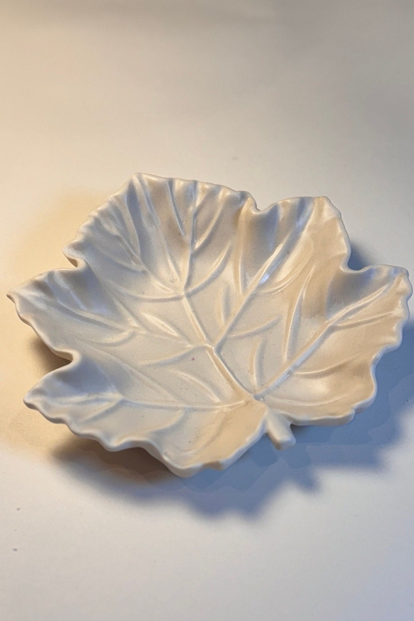 Leaves Tray