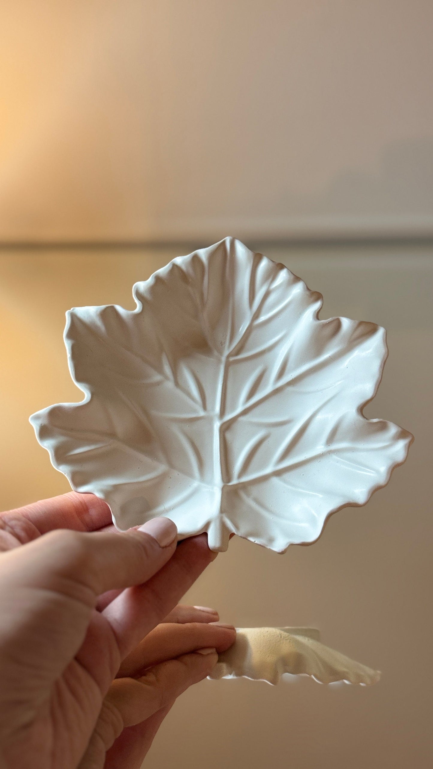 Leaves Tray