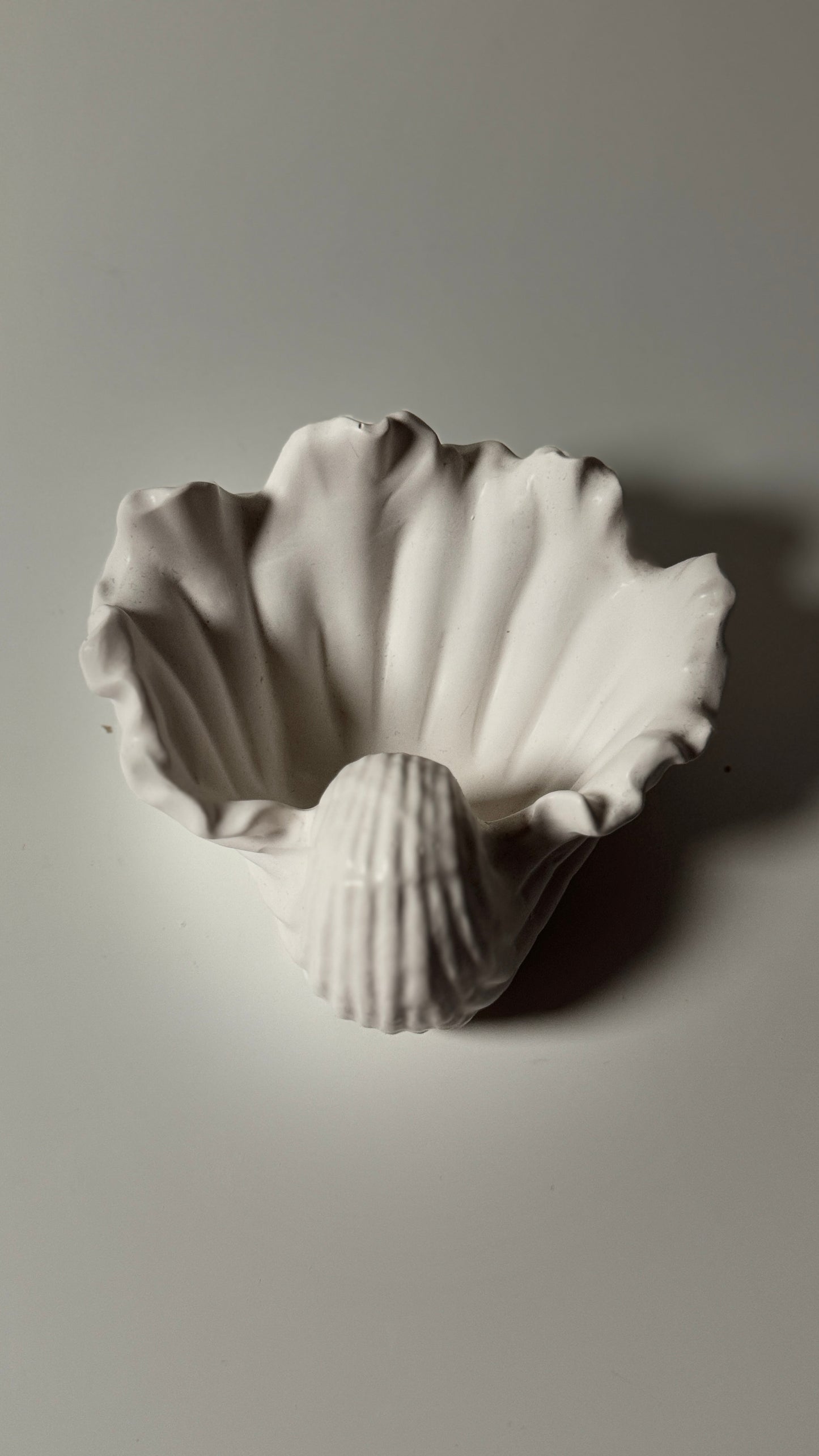 Seashell Tray