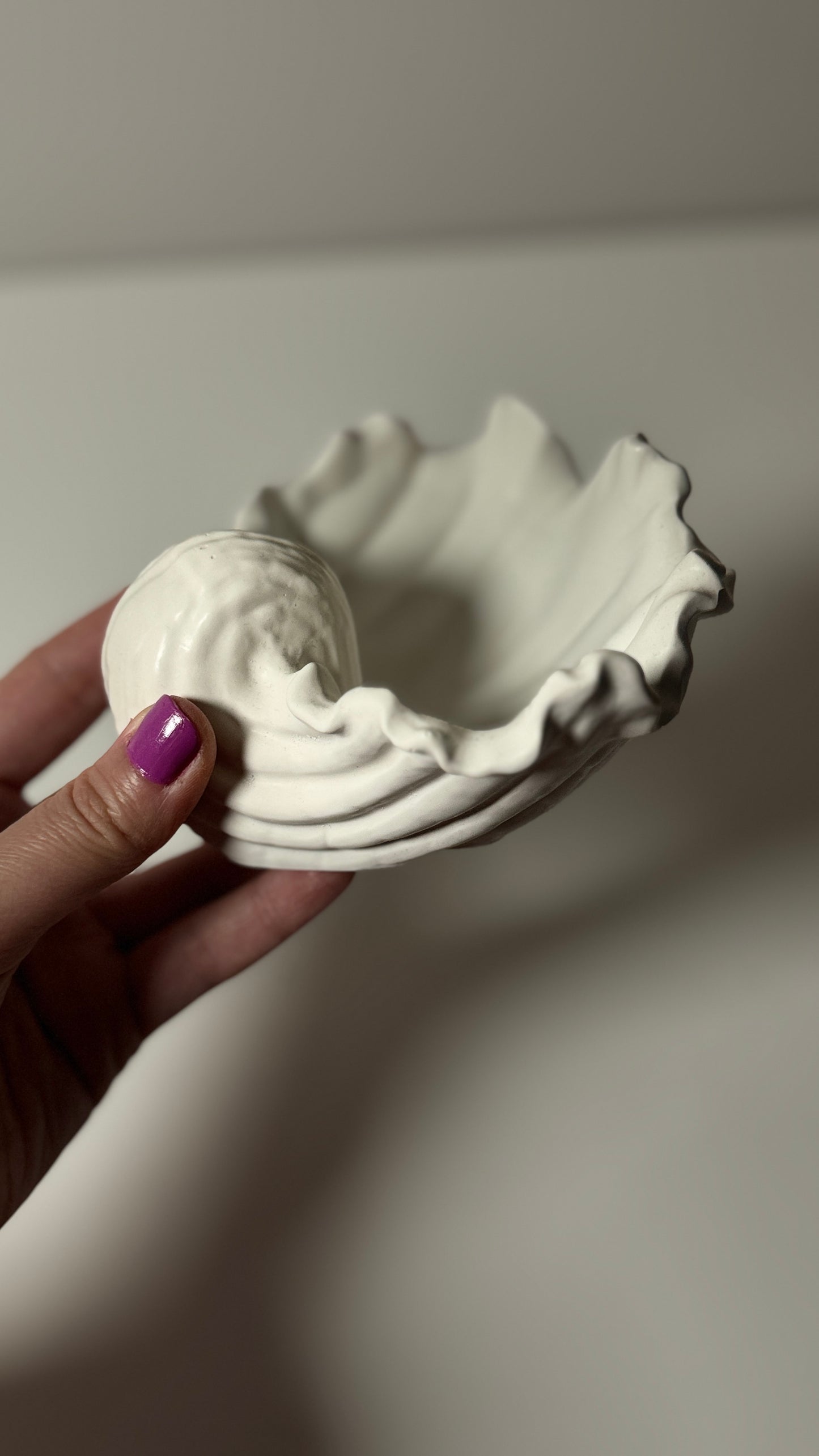 Seashell Tray