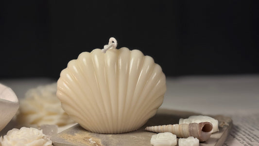 Sea Shell Candle